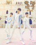 TFBOYSֿ֮