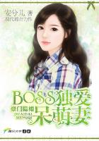 飺BOSS޷